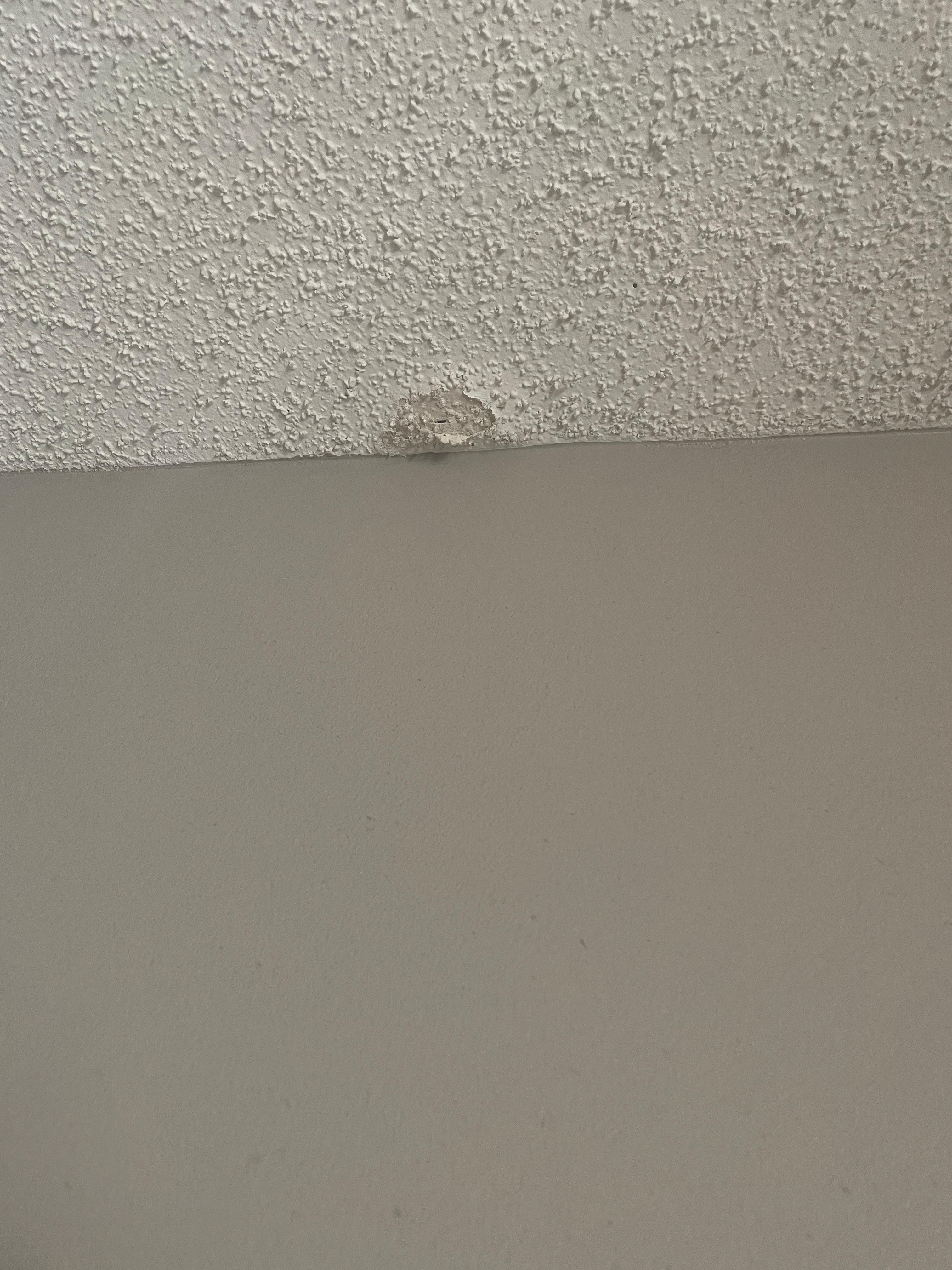 Large bubble size hole over the bed -ceiling damage!