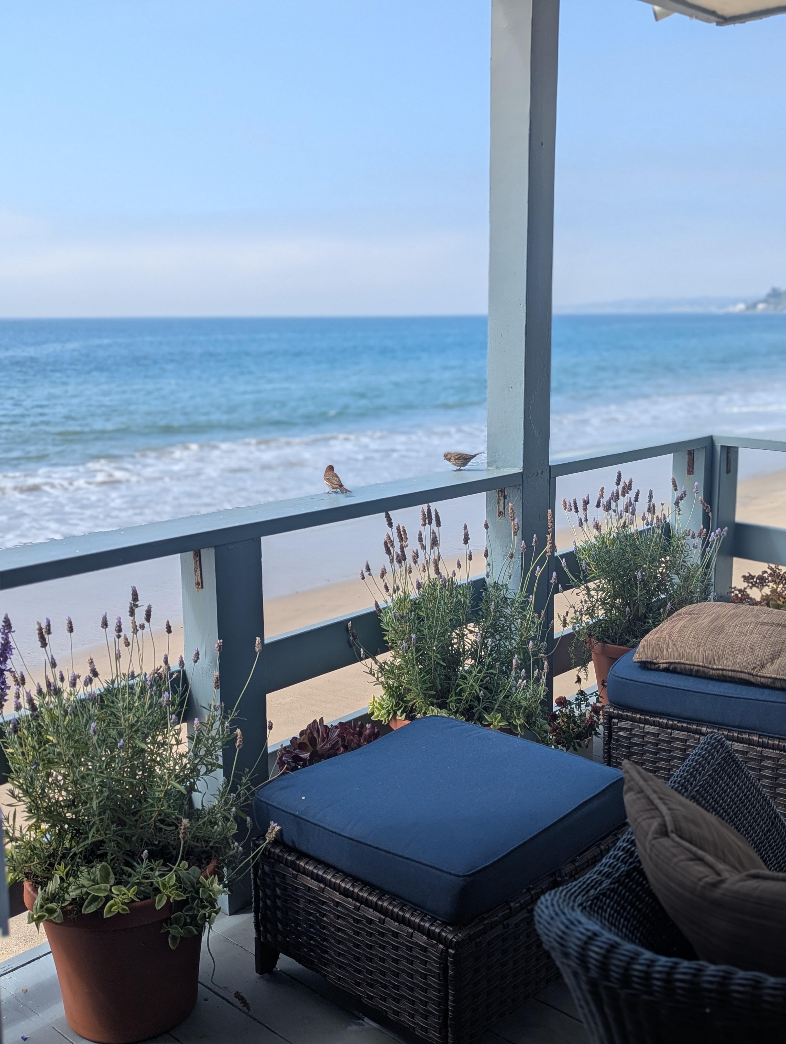 Morning coffee on the balcony - so peaceful!