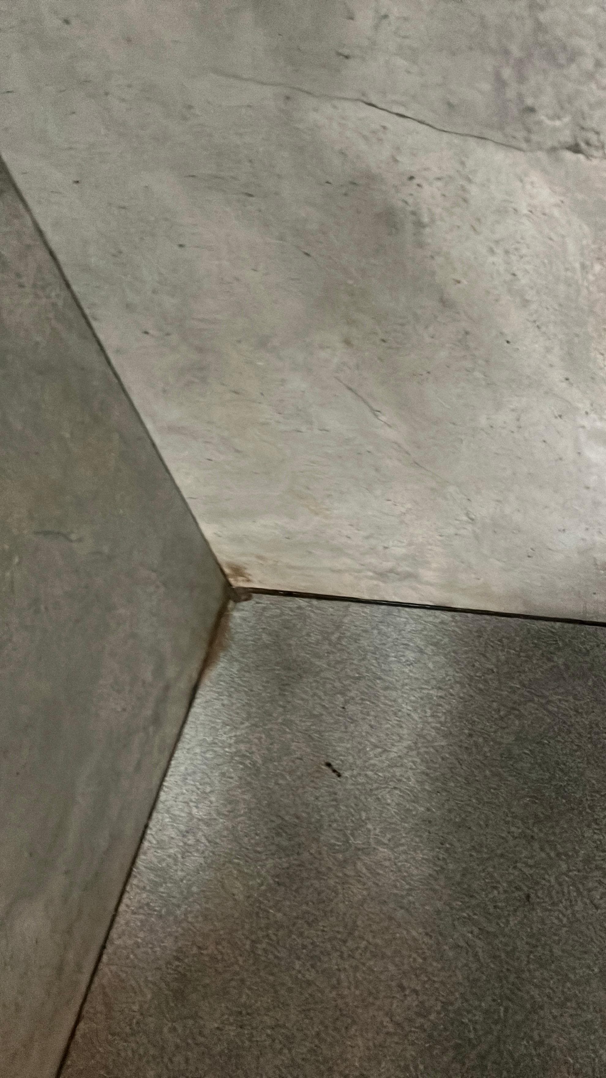 Unclean shower - Mold everywhere.