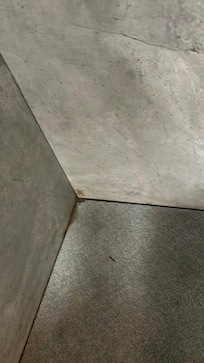 Unclean shower - Mold everywhere.