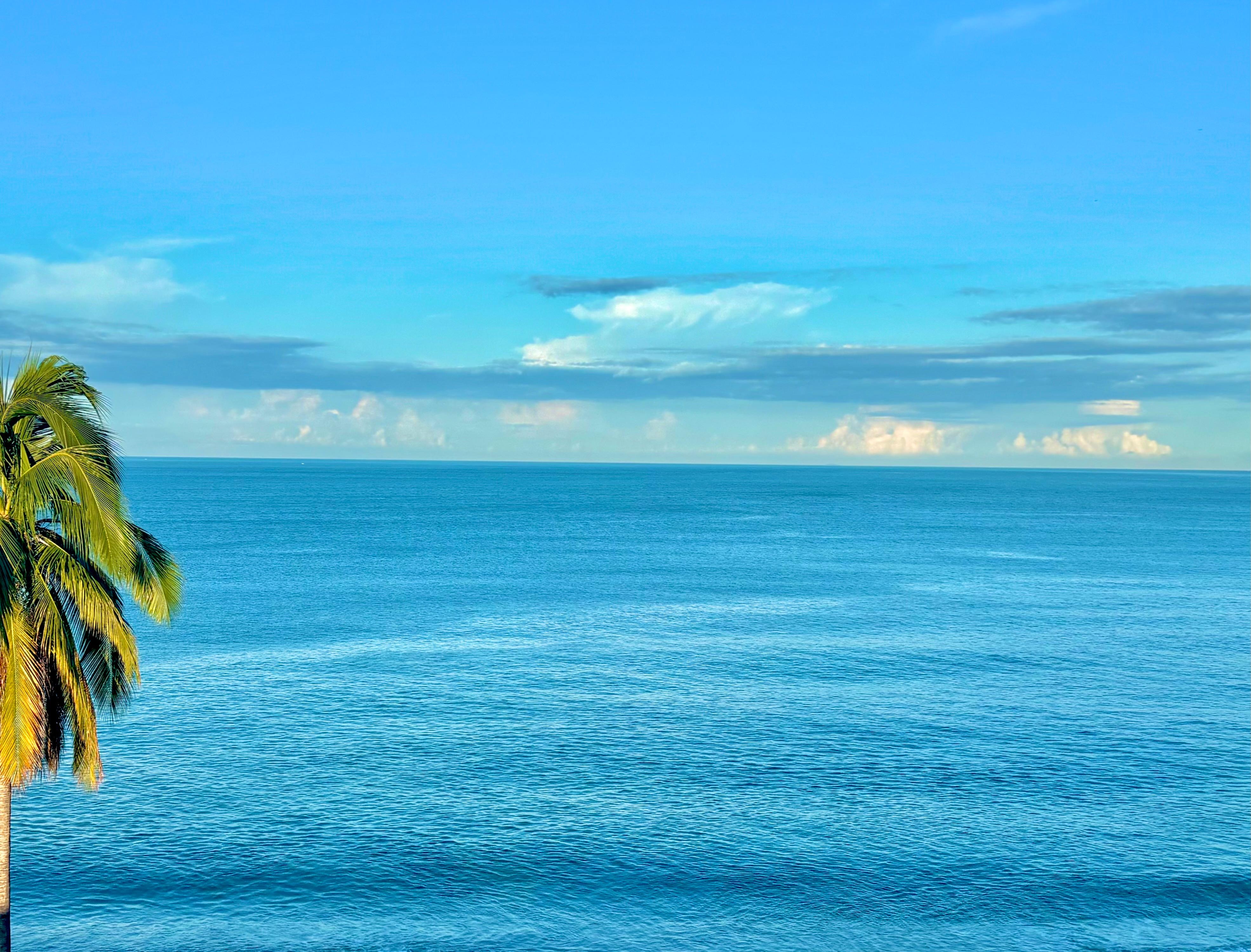 Day view from my balcony