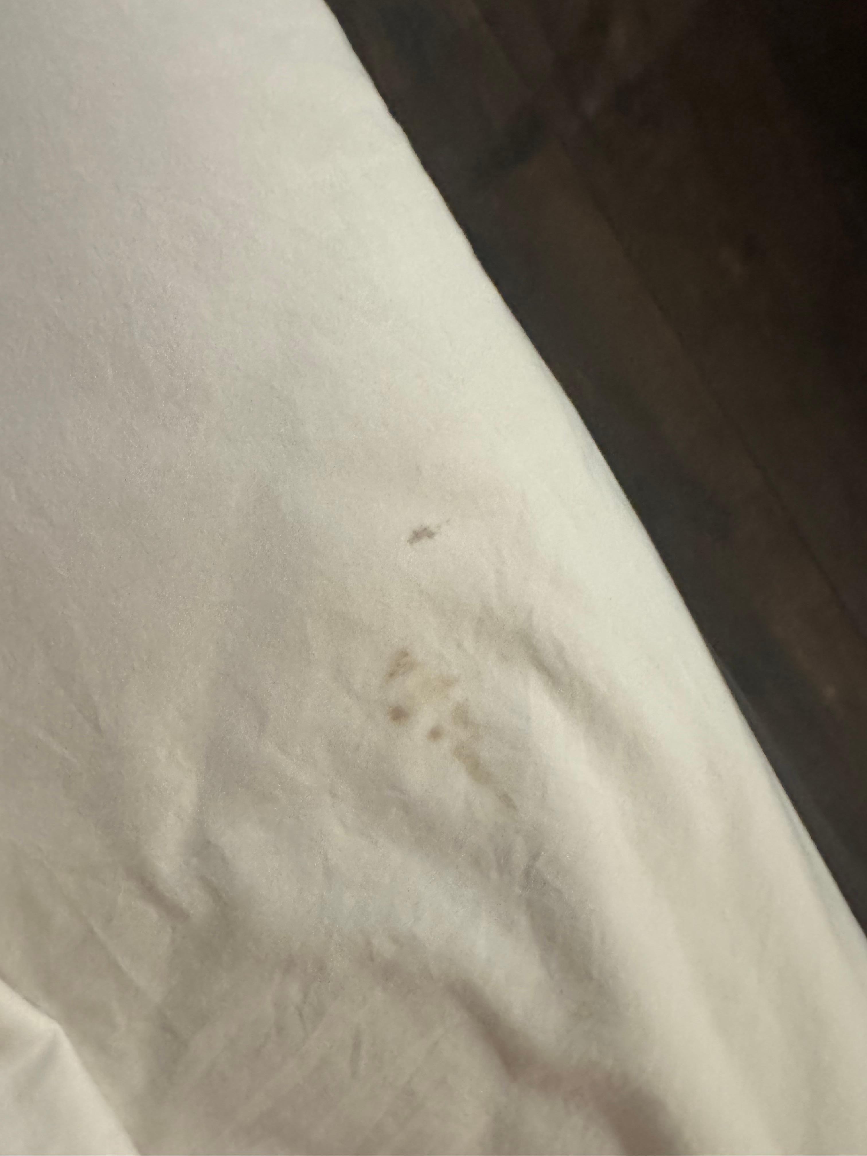 Bed stains
