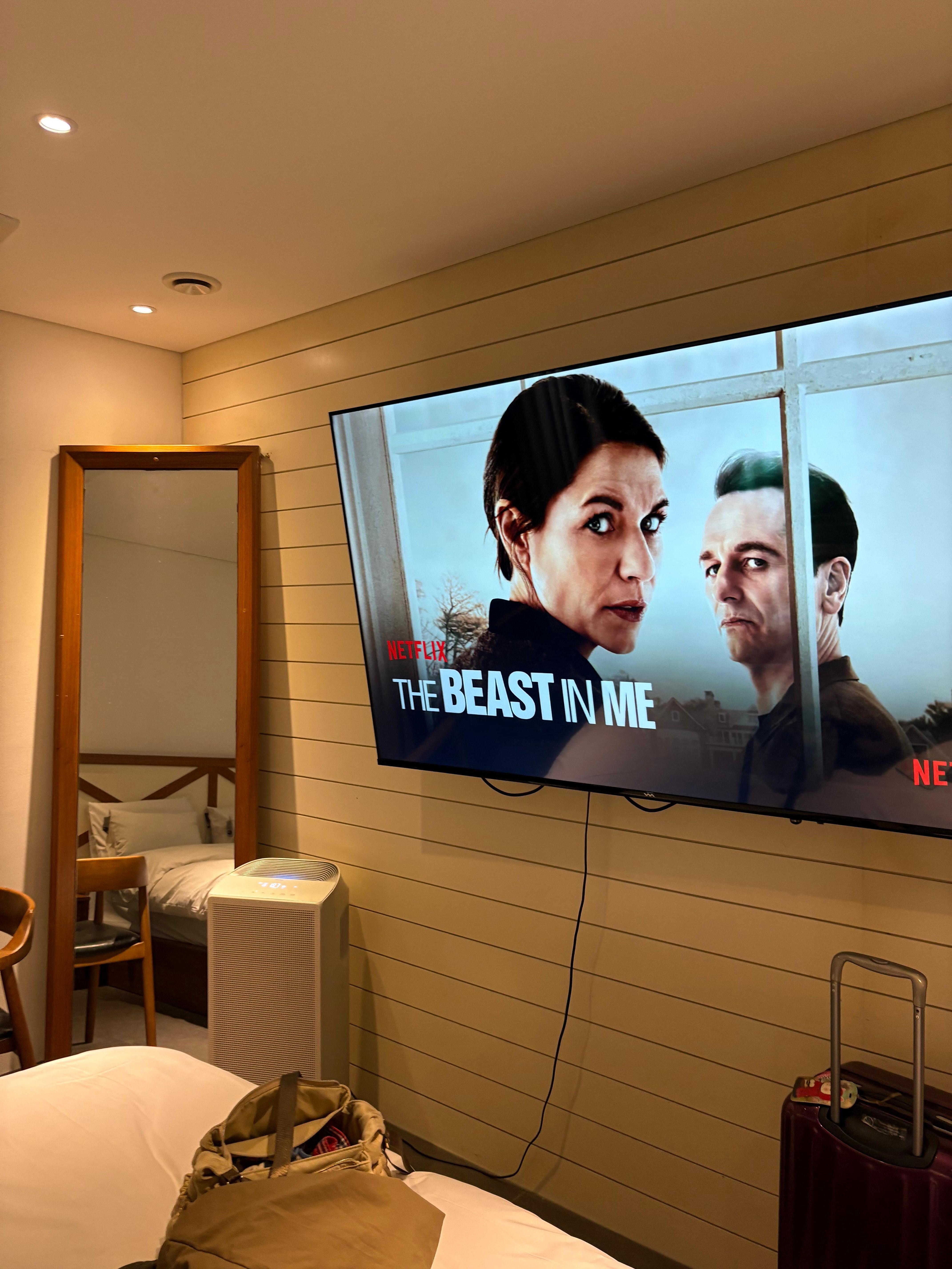 テレビは大きくてチャンネル数も多いので楽しいです