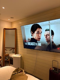 テレビは大きくてチャンネル数も多いので楽しいです