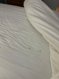 Bed with blood stain