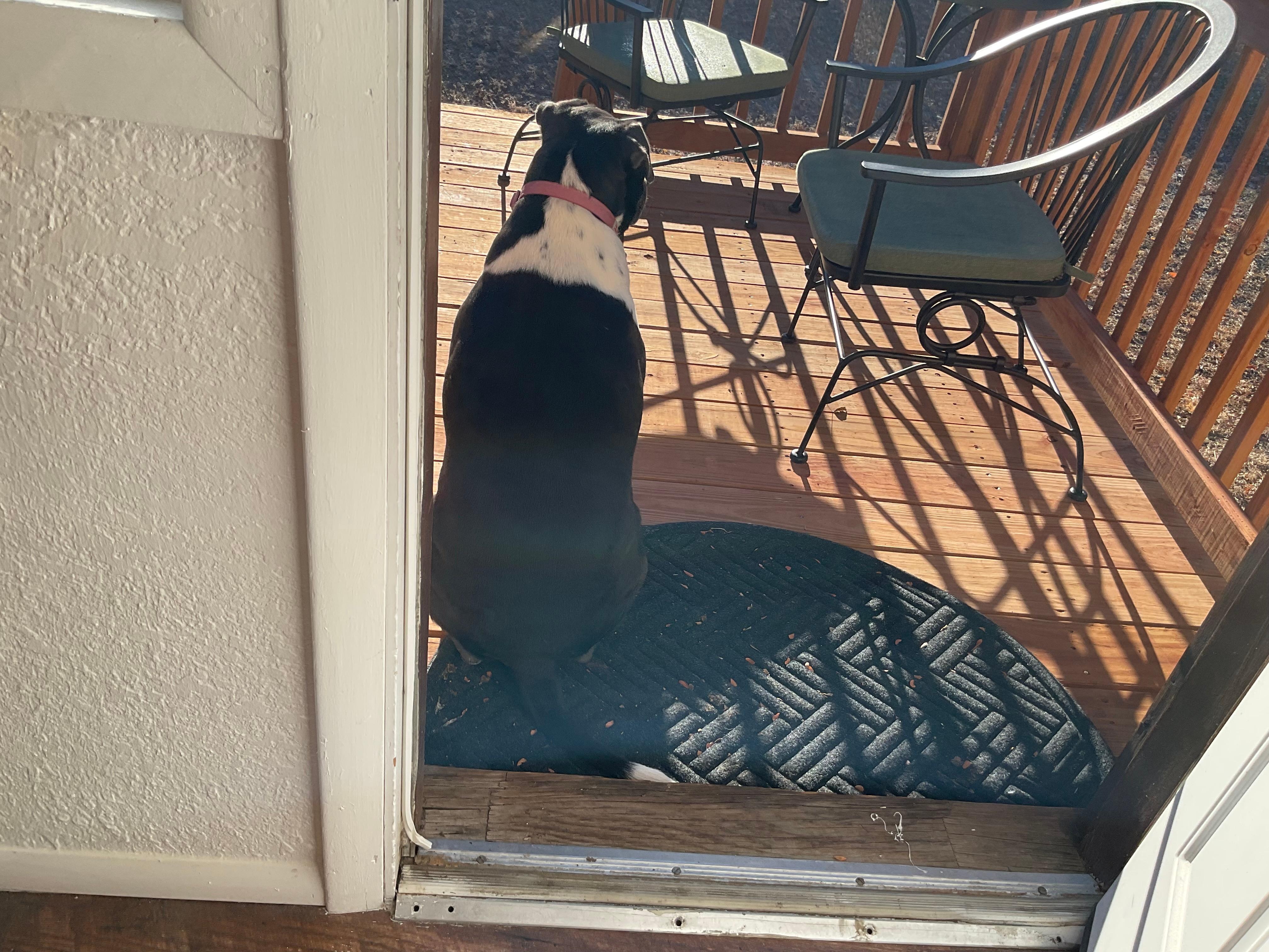 Miss Ruth loves this back deck.