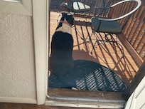 Miss Ruth loves this back deck.