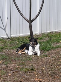 Roni under her " tree"