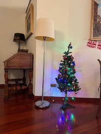 Our host kindly put a Christmas tree in the apartment to make our visit very festive.