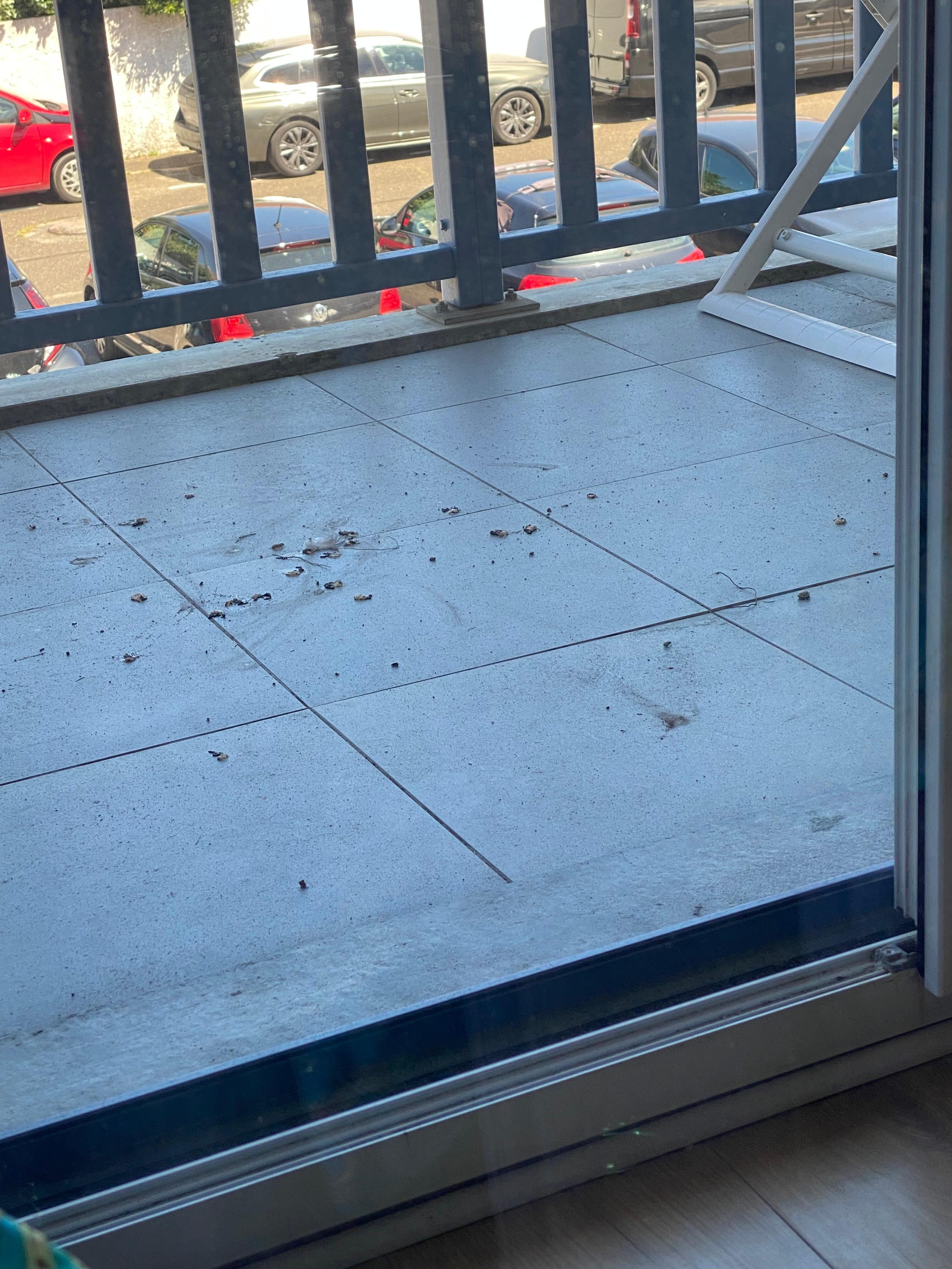 Frischer Vogeldreck auf dem Balkon