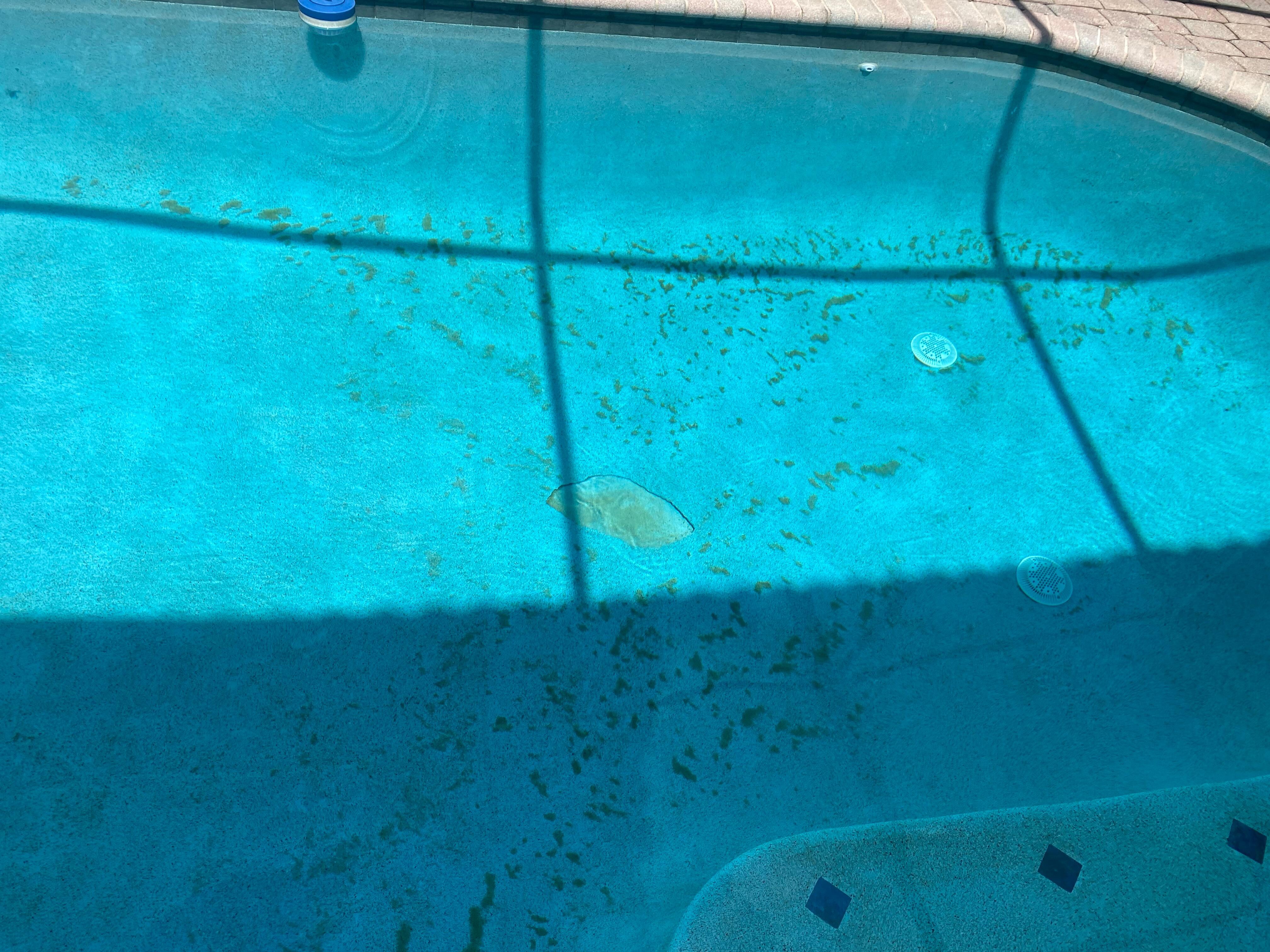 Filthy pool and damage