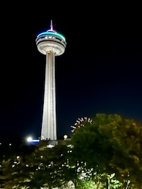 Skylon Tower with fireworks behind the tree