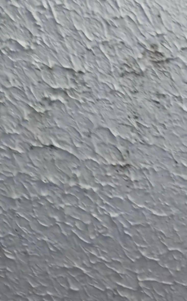 Mold on bathroom ceiling