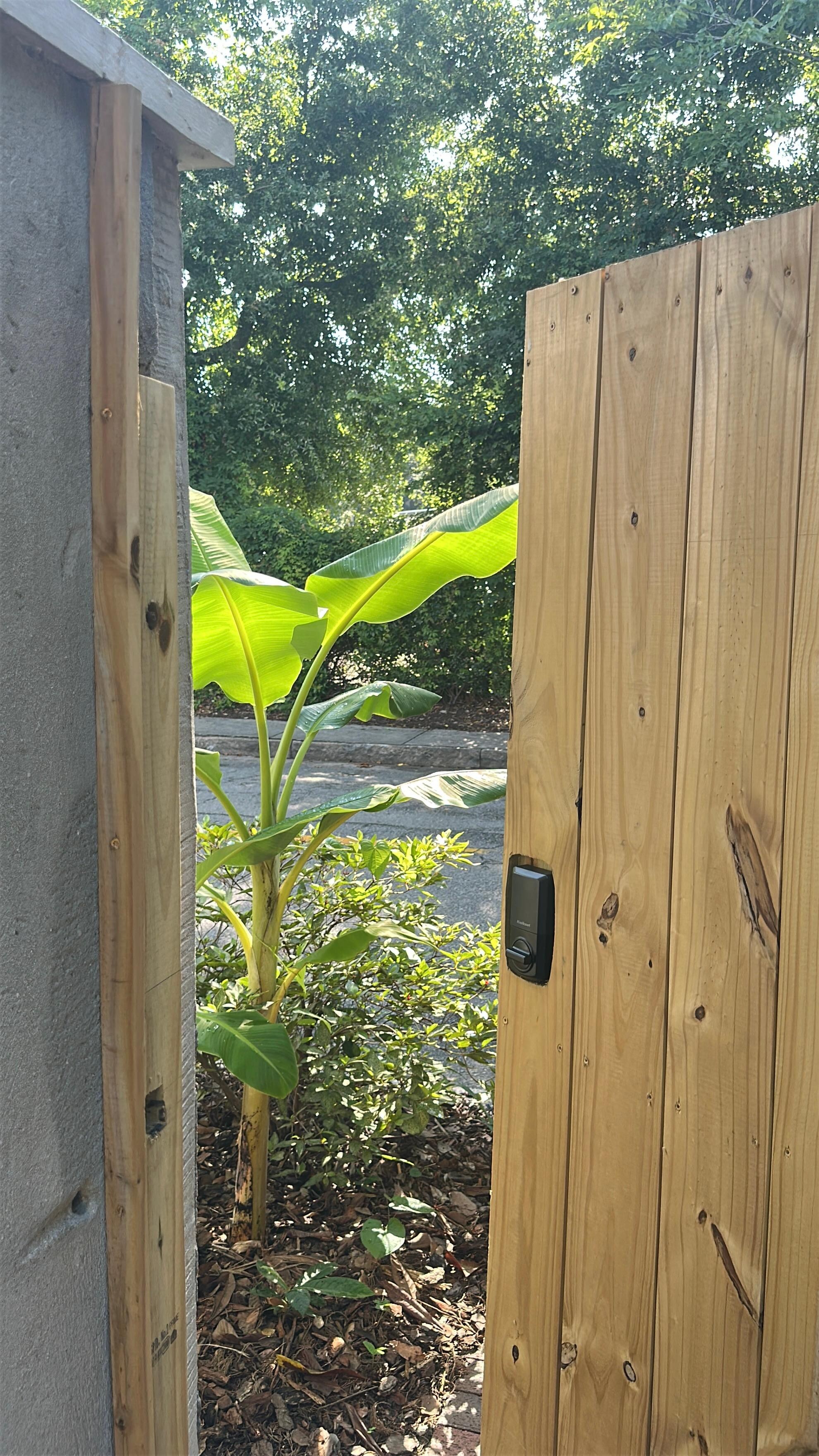 Entrance to little courtyard 
