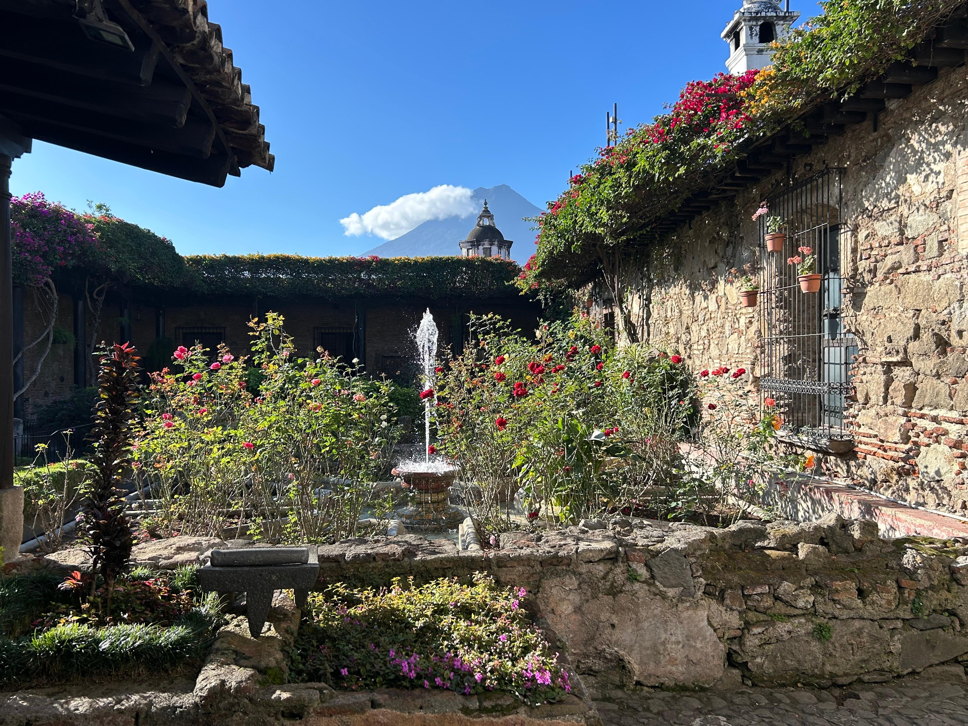 Tiene un hermoso jardín de rosas. 