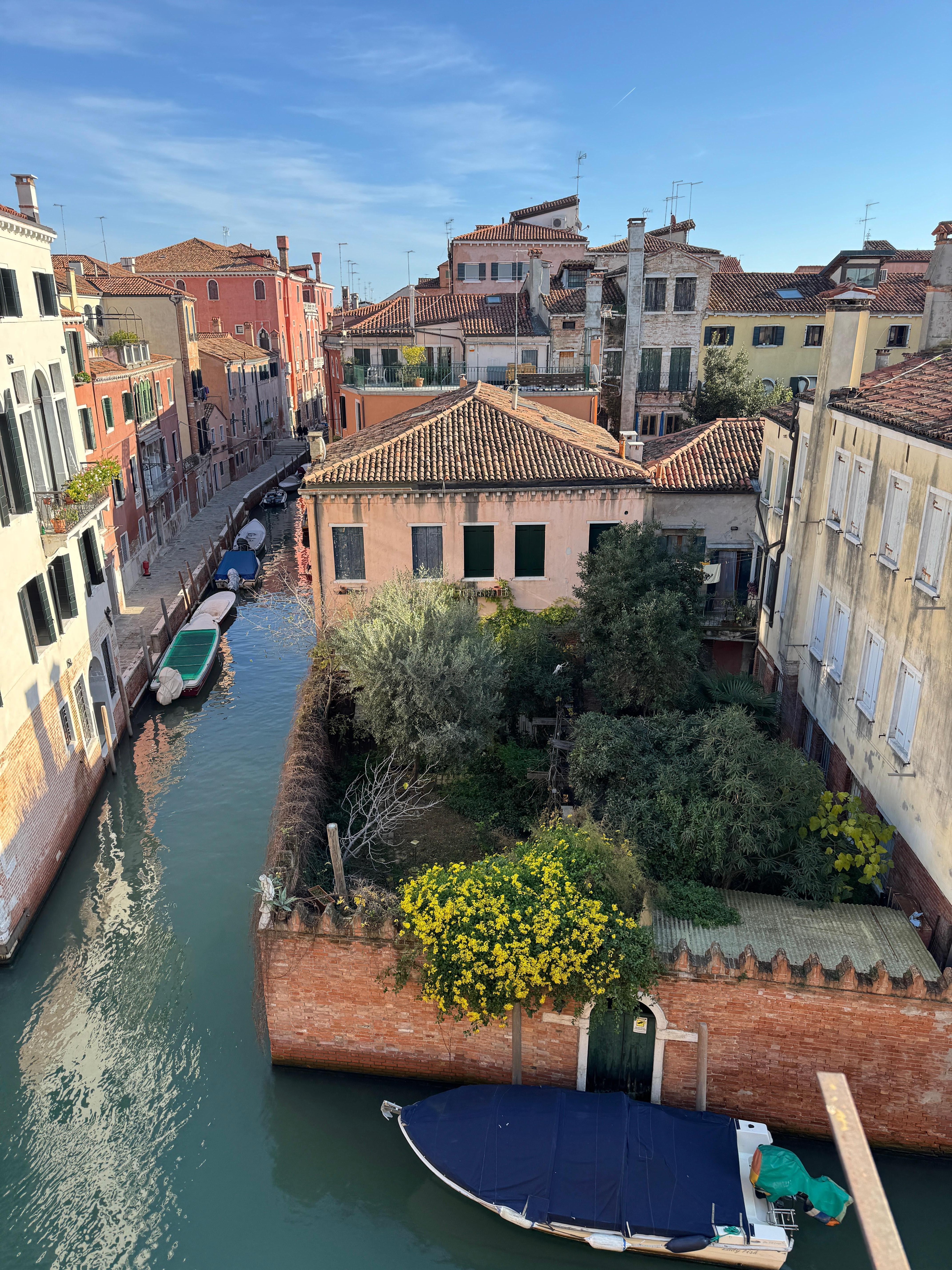 View from one of the windows in the apartment. 