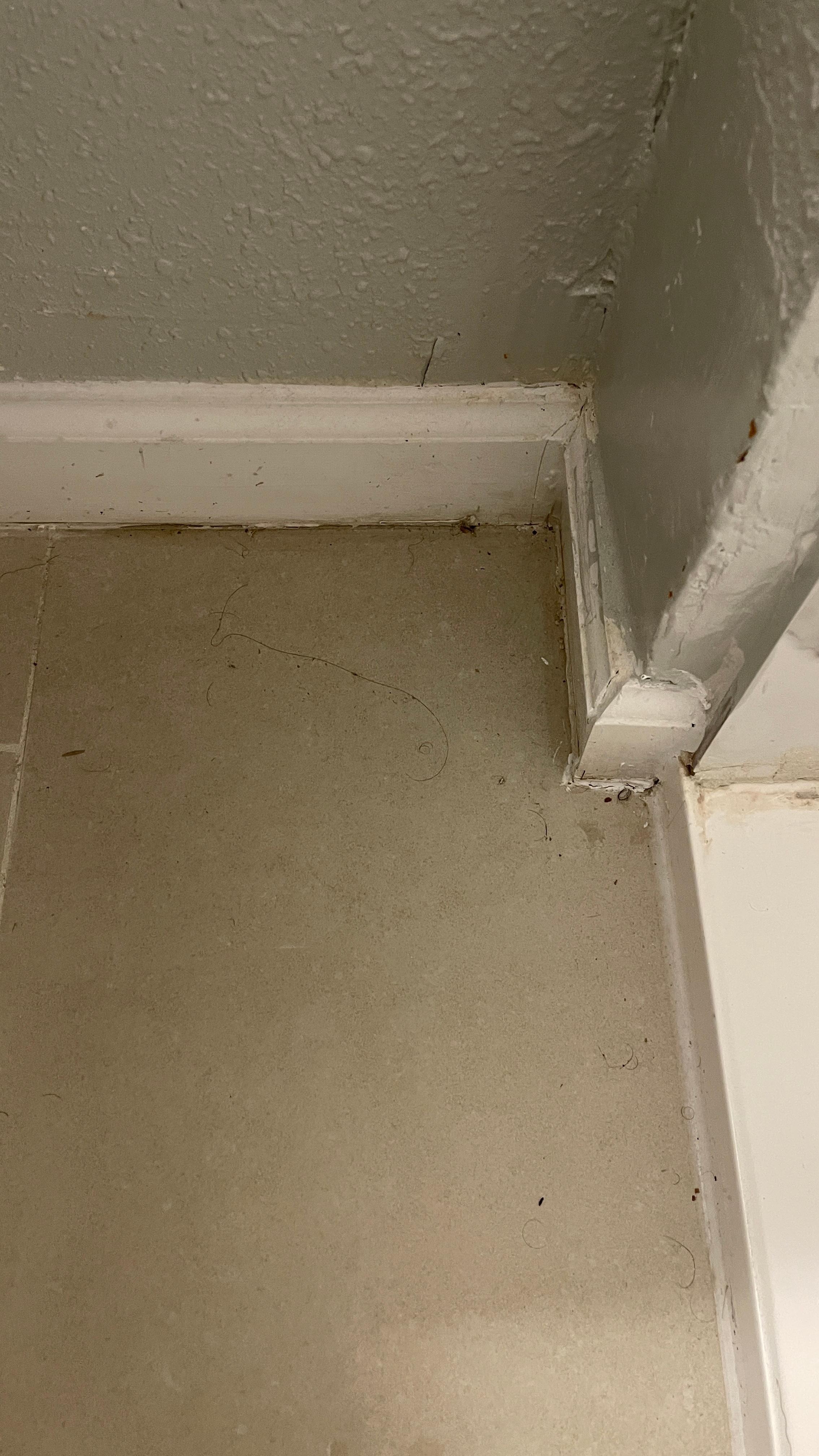 Dust all over