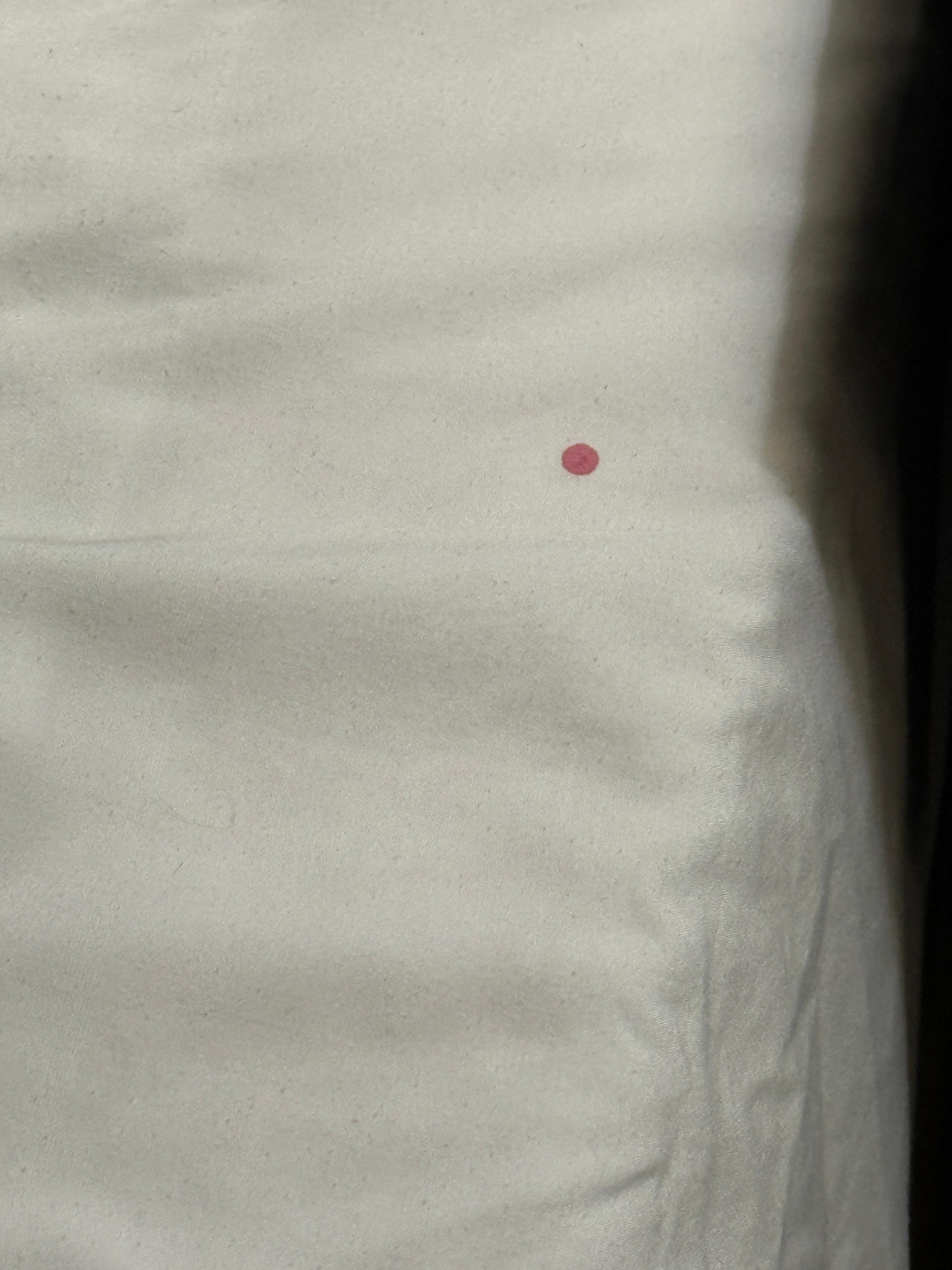 Some sort of bodily fluid on one of the beds- sheets appeared to not have been changed. 