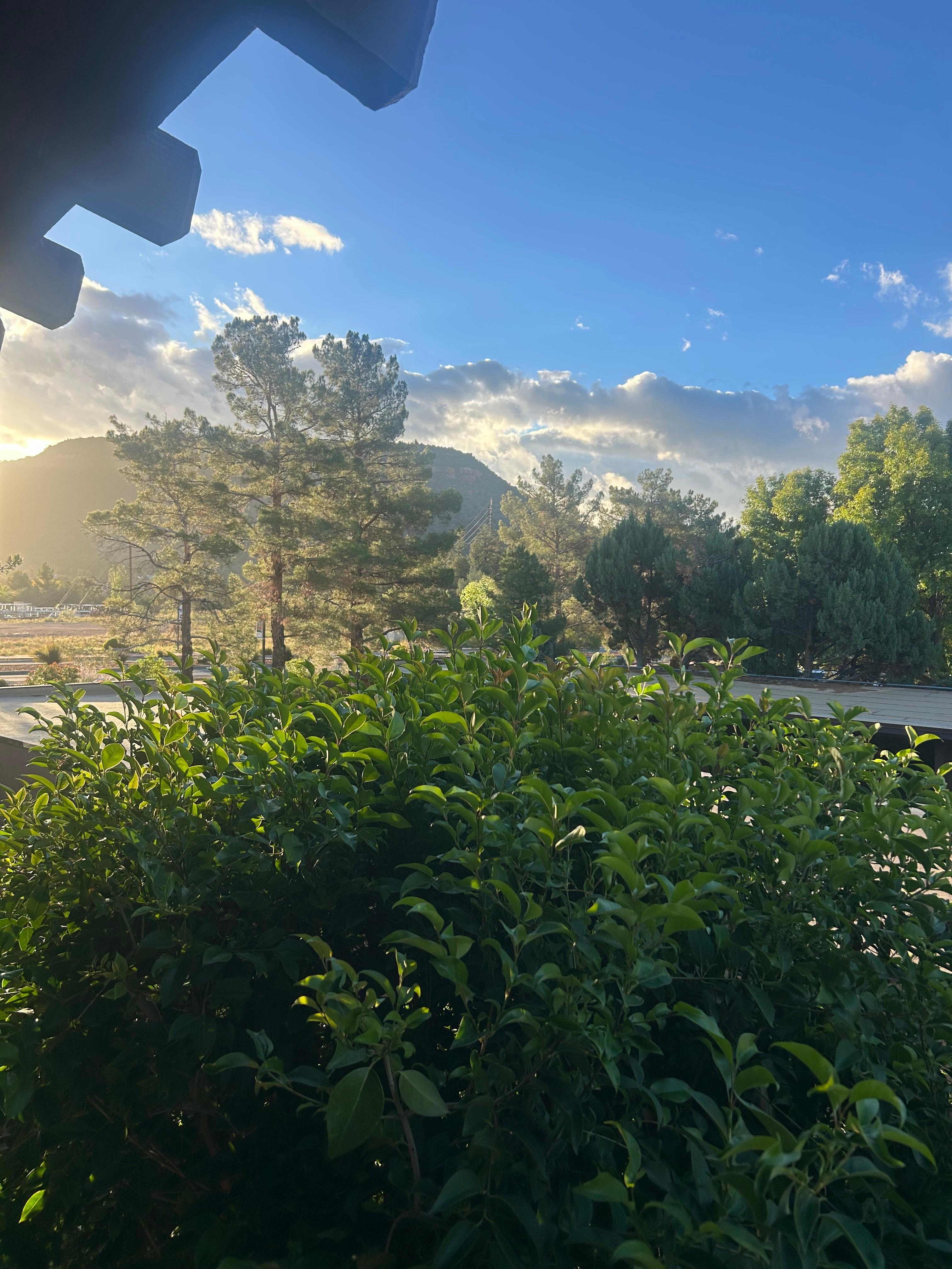 Morning sunrise from the terrace 