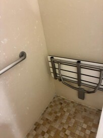 Seat in accessible bath