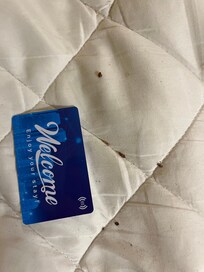 Dirt / Debris on pullout bed