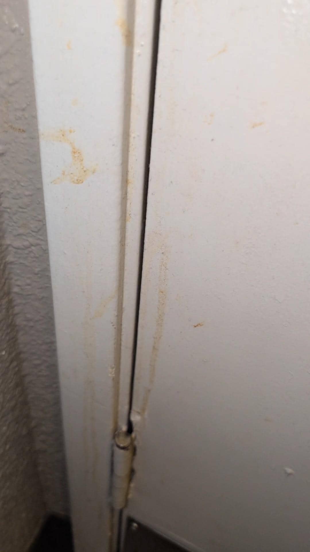 This, this one is special, it is the inside of the bathroom the back side of the door! 🤢