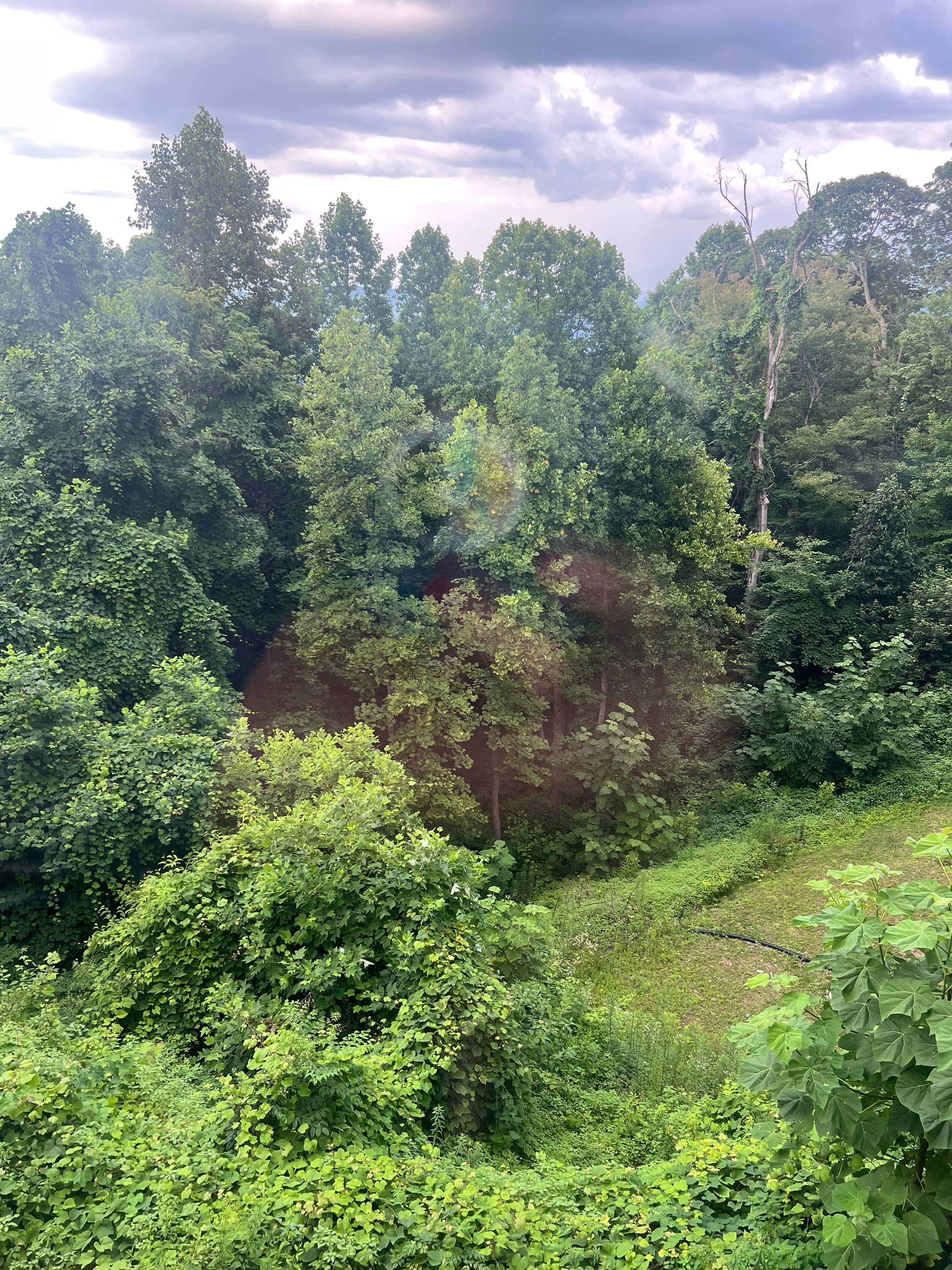 View from the condo