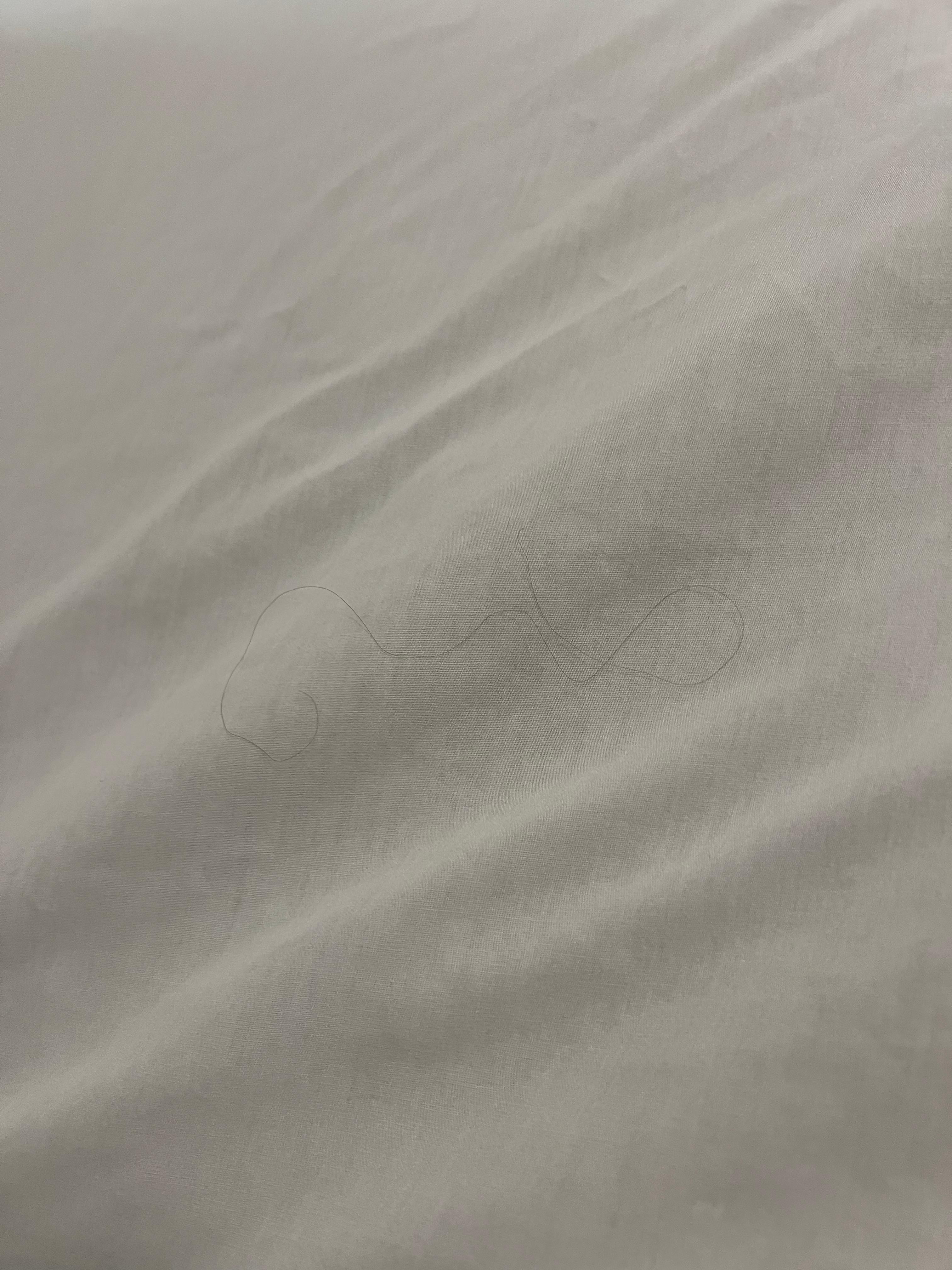 Found a hair on bedding before I was going to sleep.  🤮