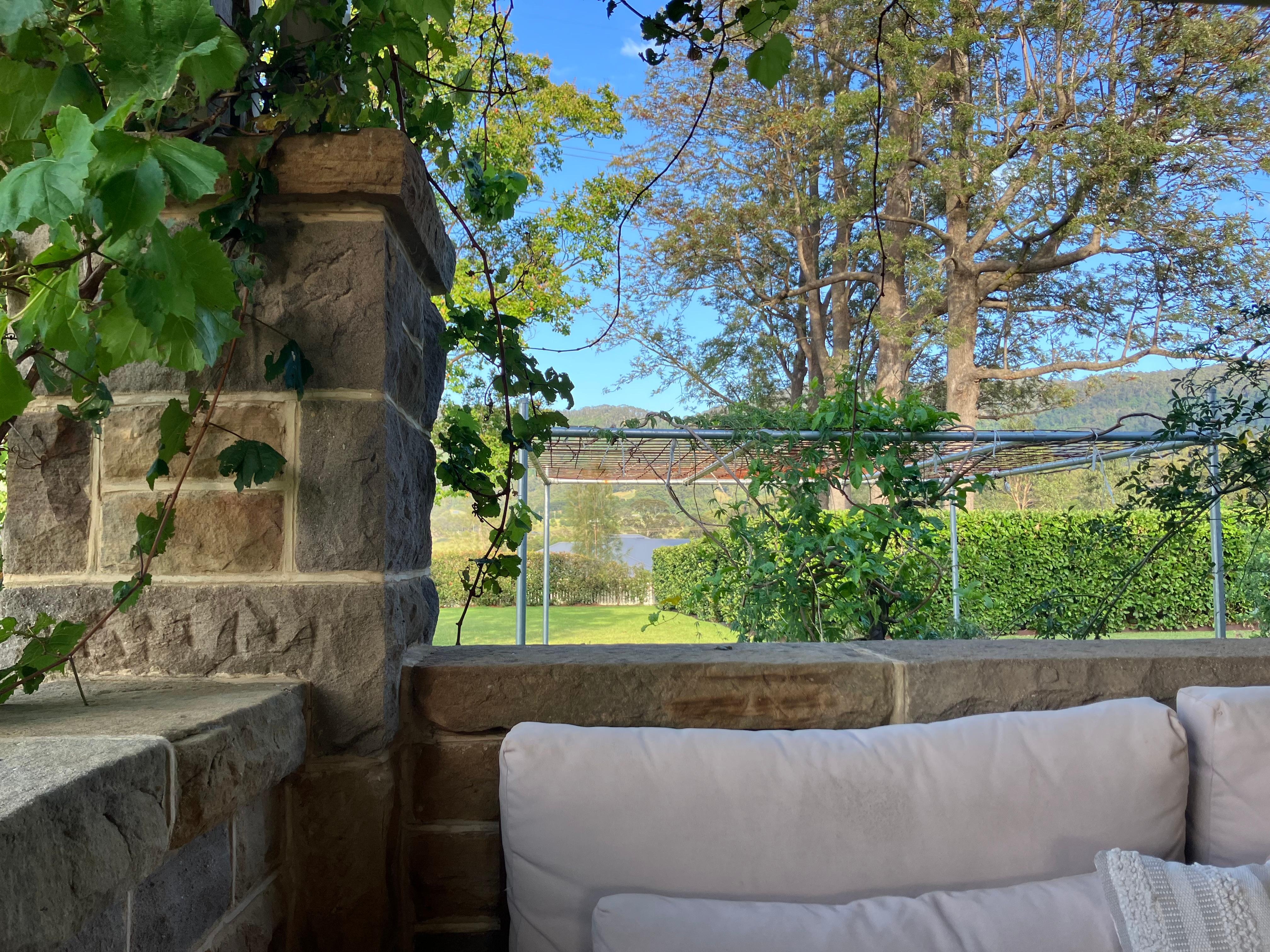 Morning view with cuppa