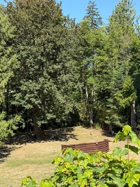 Huge yard to play