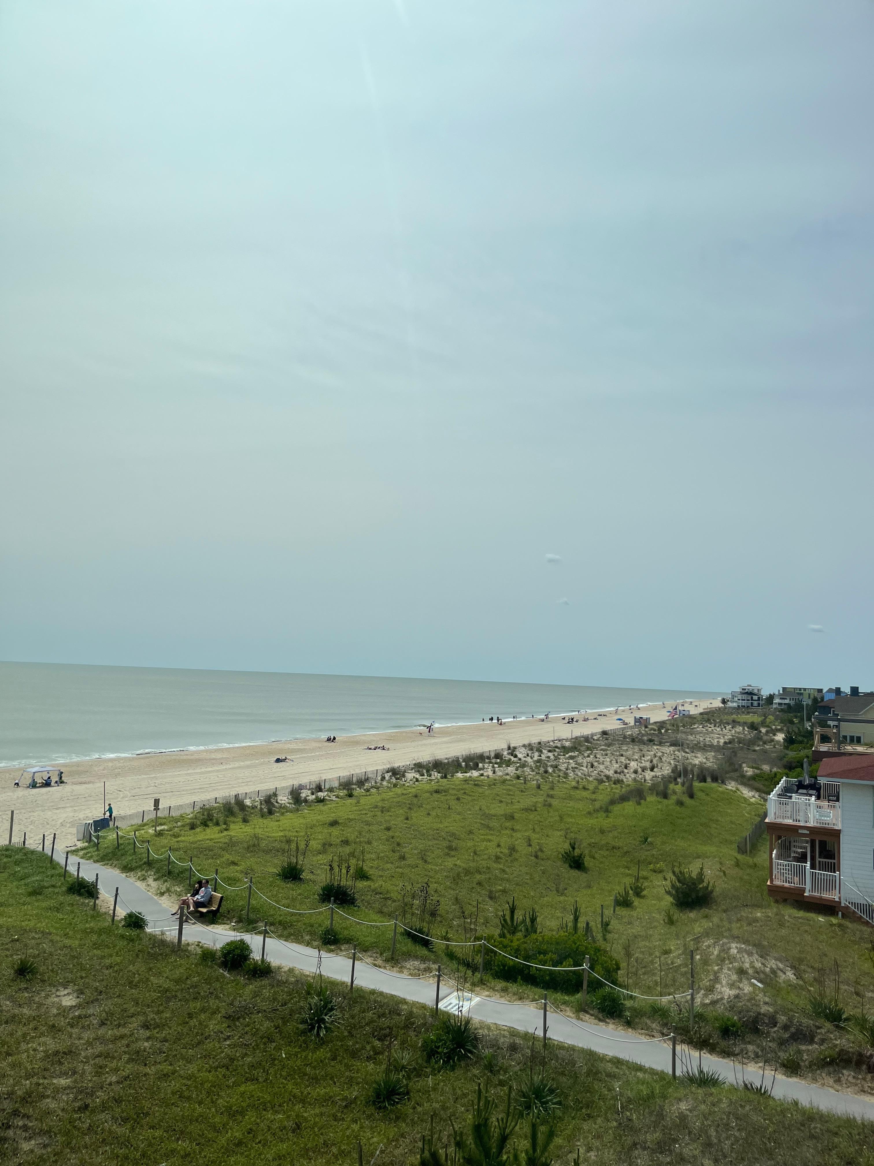 View from my window