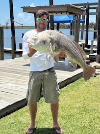 46 lb black drum off the dock!
