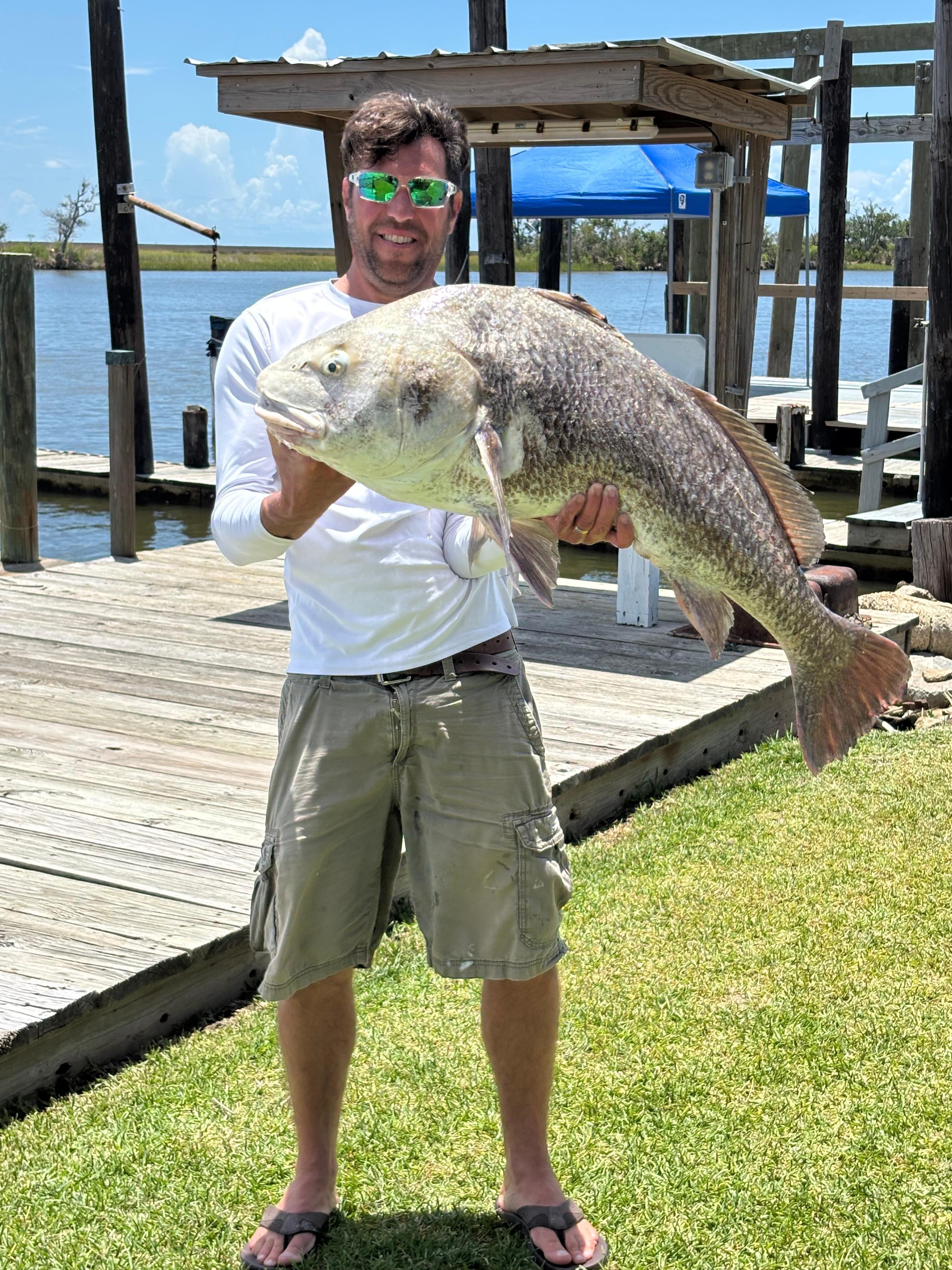 46 lb black drum off the dock! 