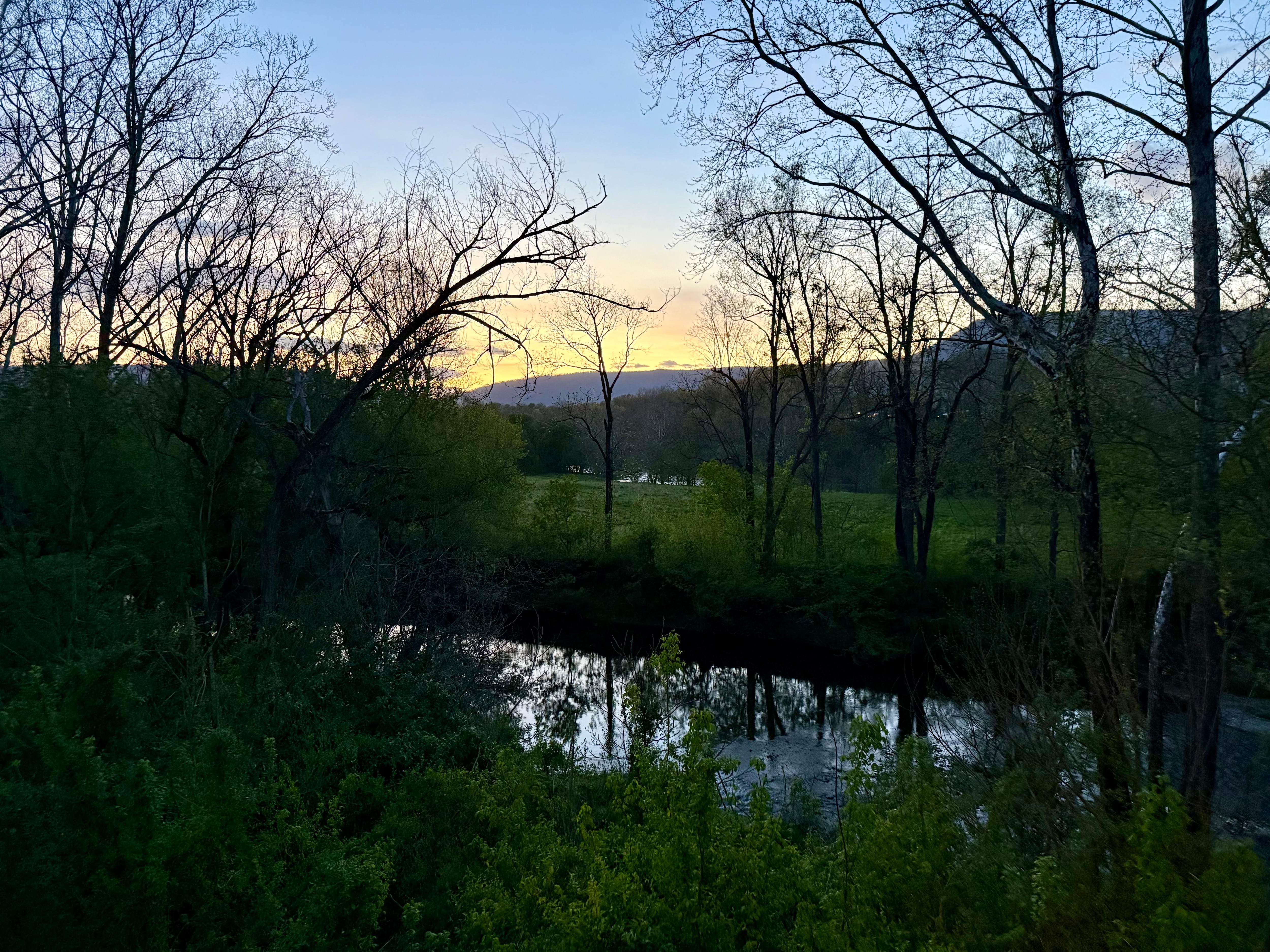 View from the deck