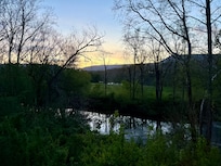 View from the deck