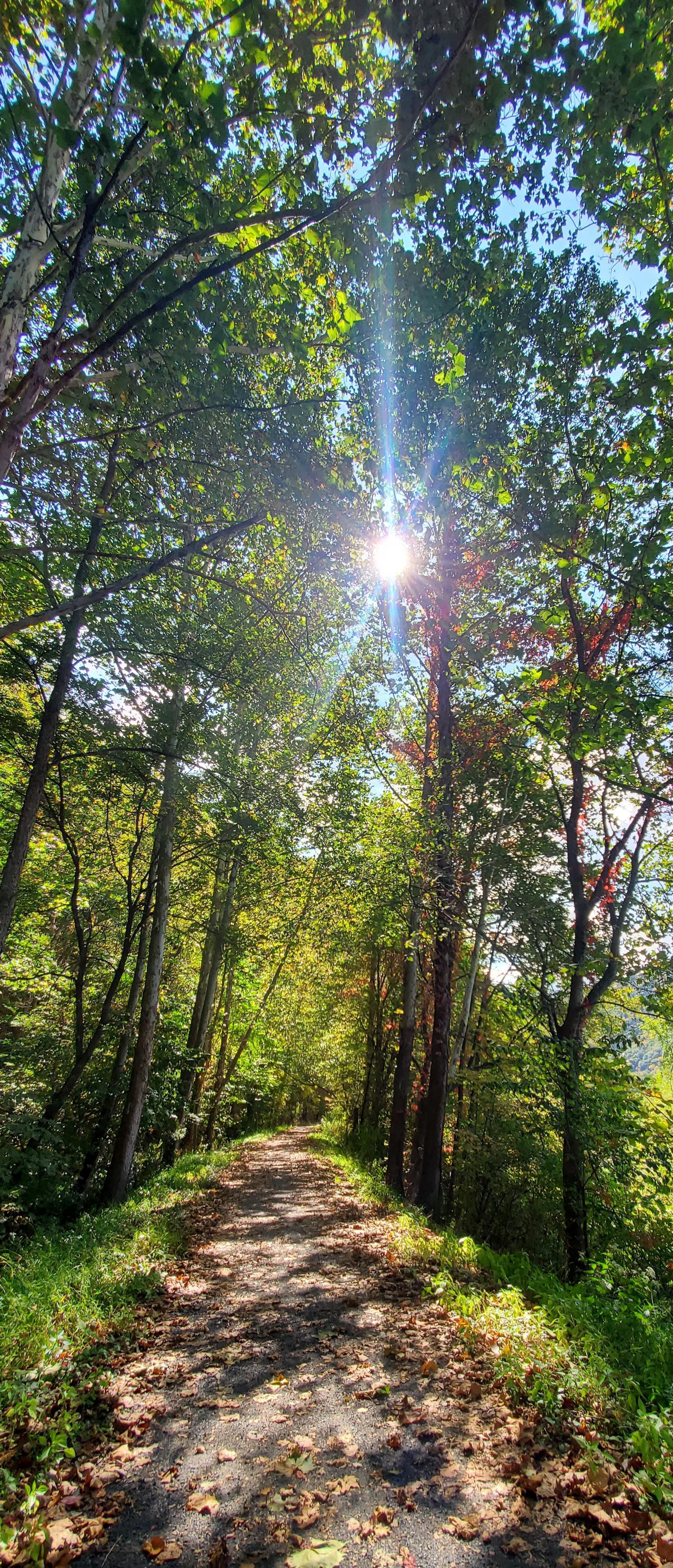 Walking the Pine Creek Rail Trail