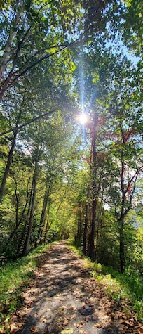 Walking the Pine Creek Rail Trail