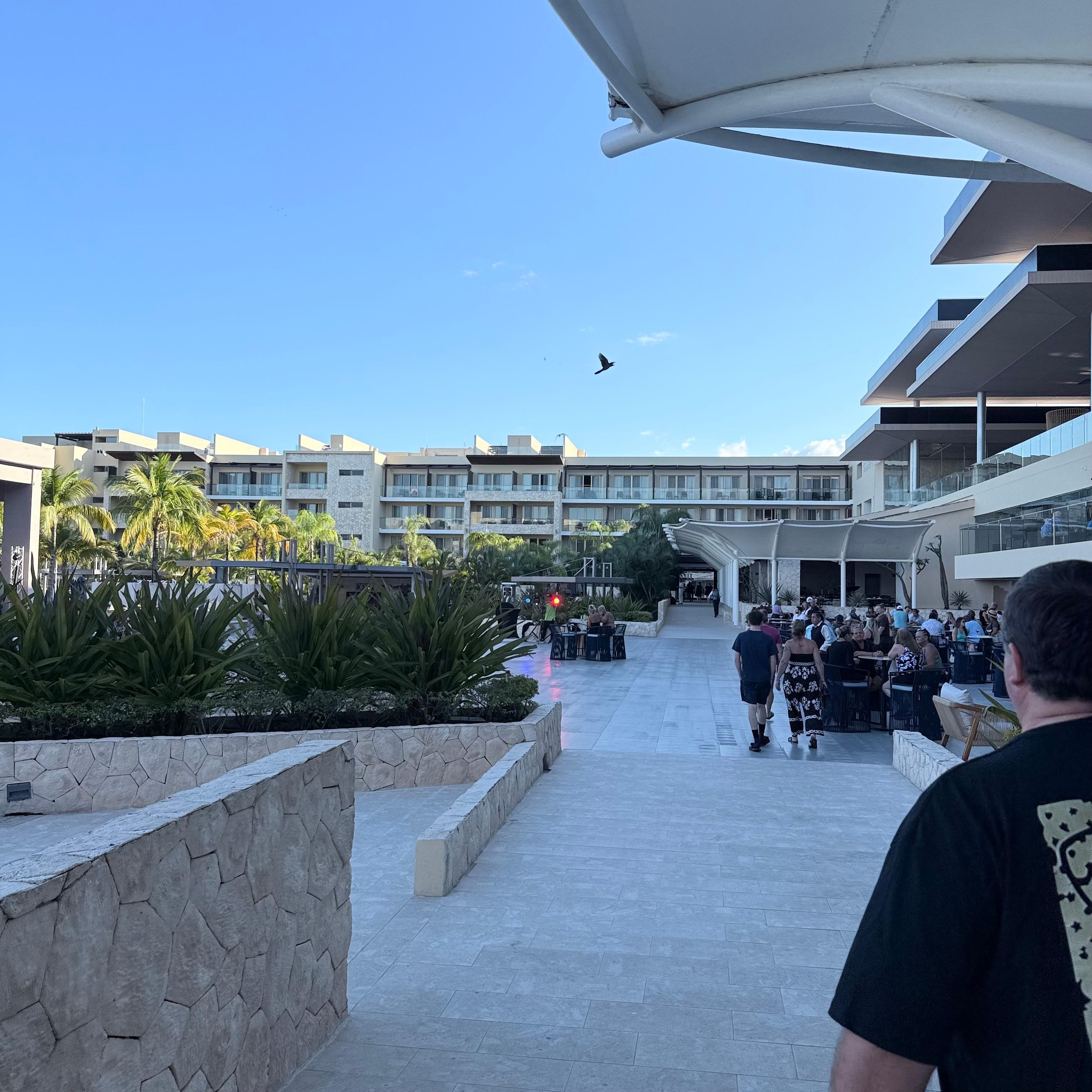 Part of the property 