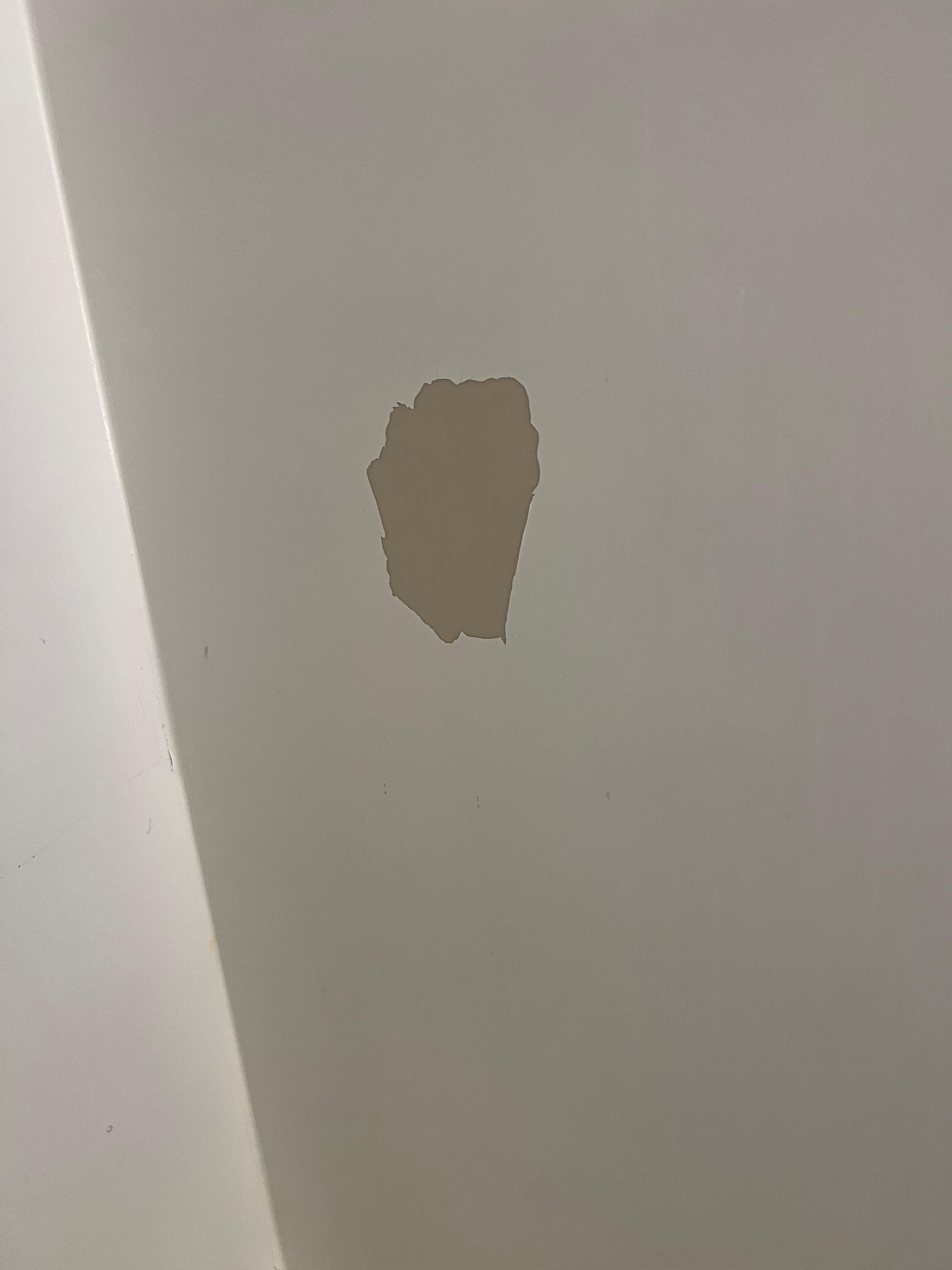Wall in bathroom 