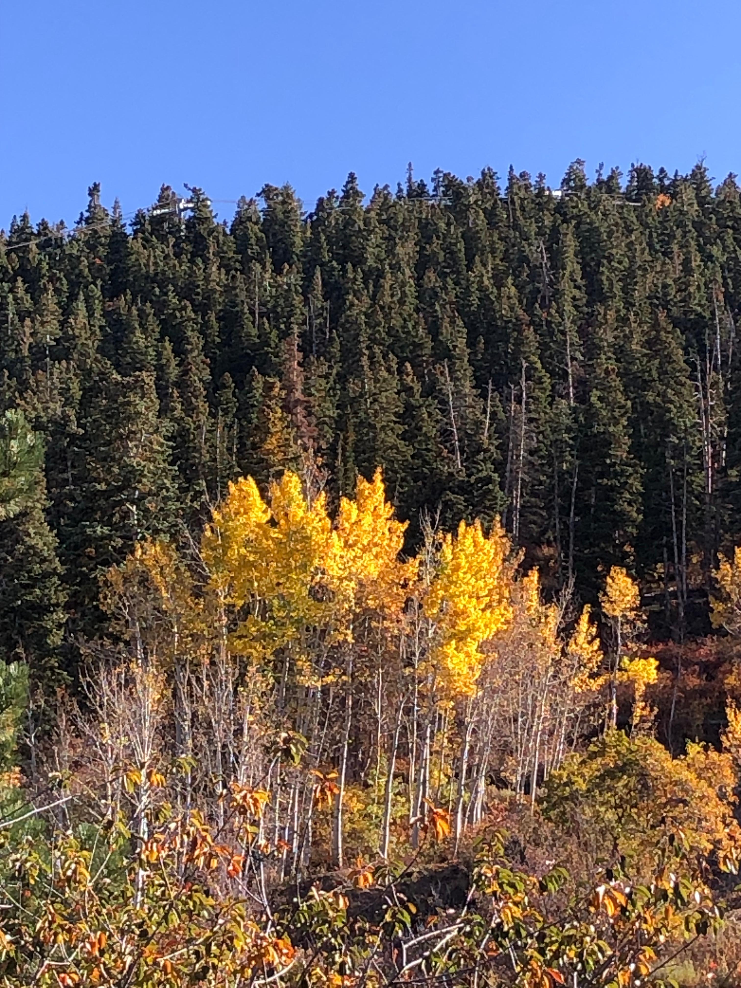 View from the balcony