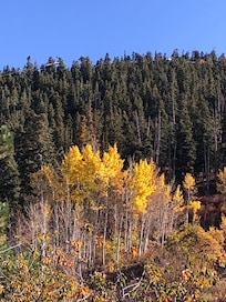 View from the balcony