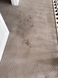 Carpet in upstairs hallway