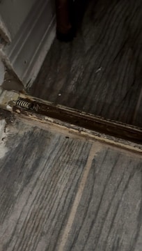 This is the track for the closet door.