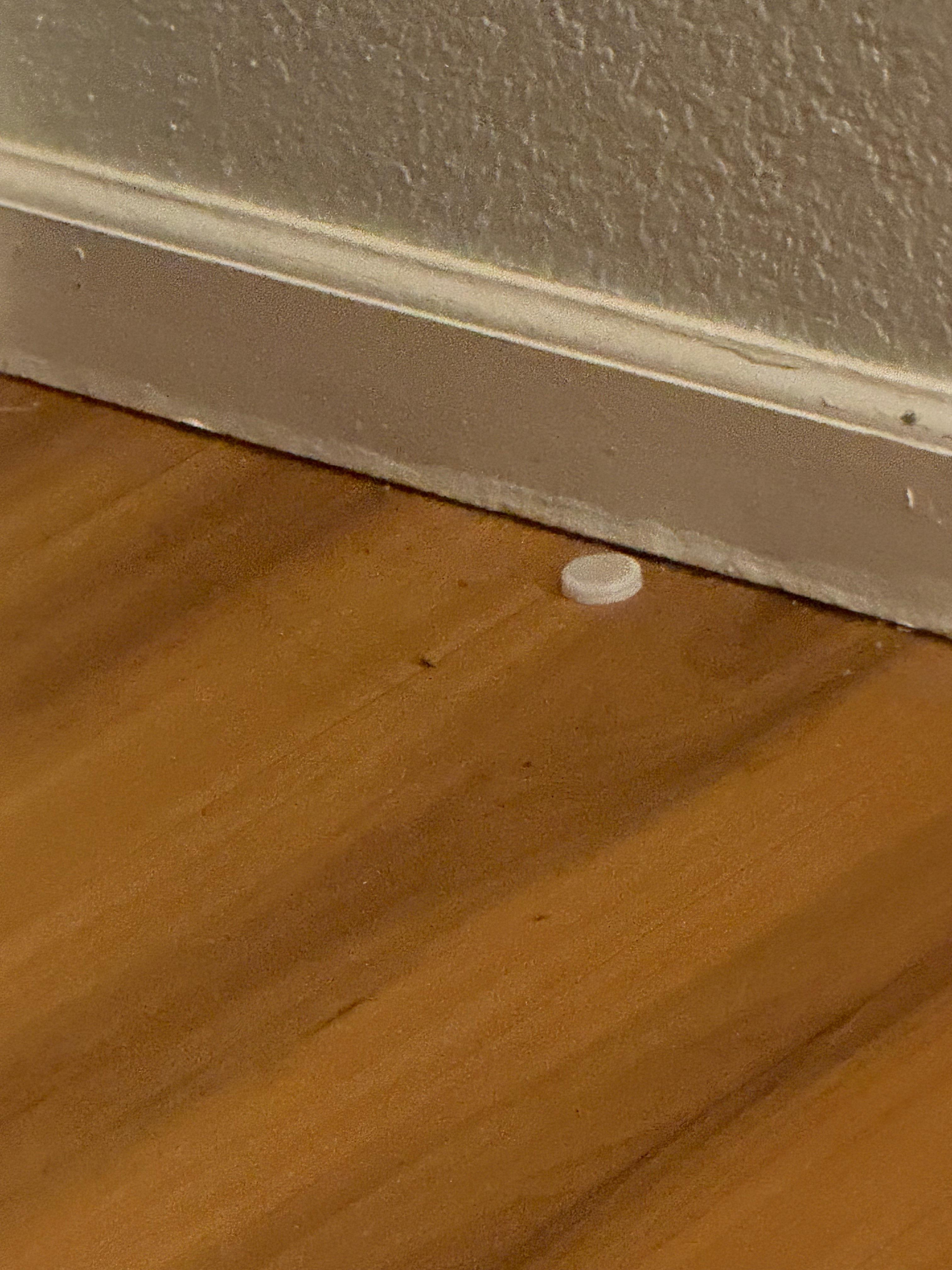 Bad pic but it was a roach under a top