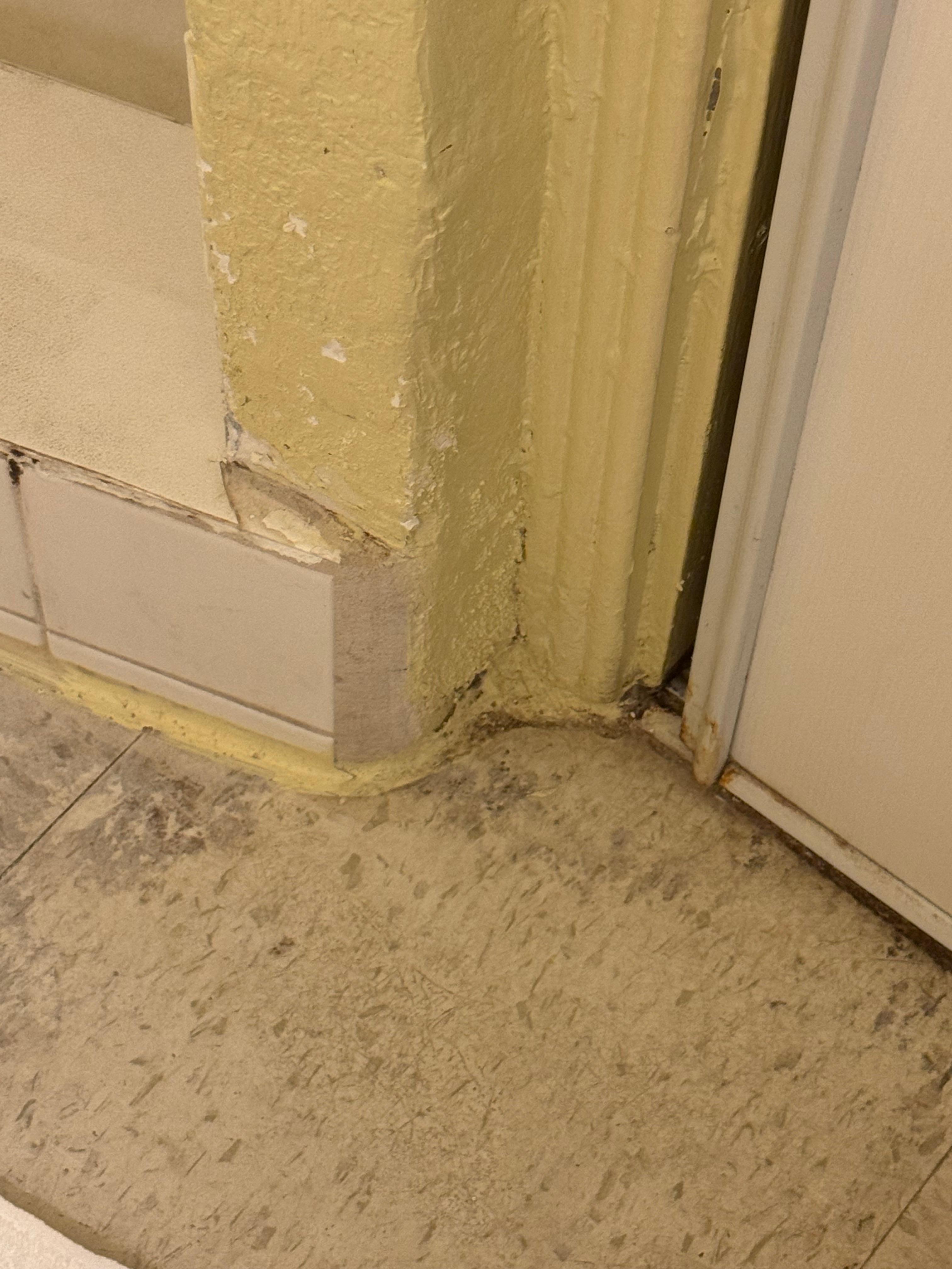 Cracks, chips, grime and hair