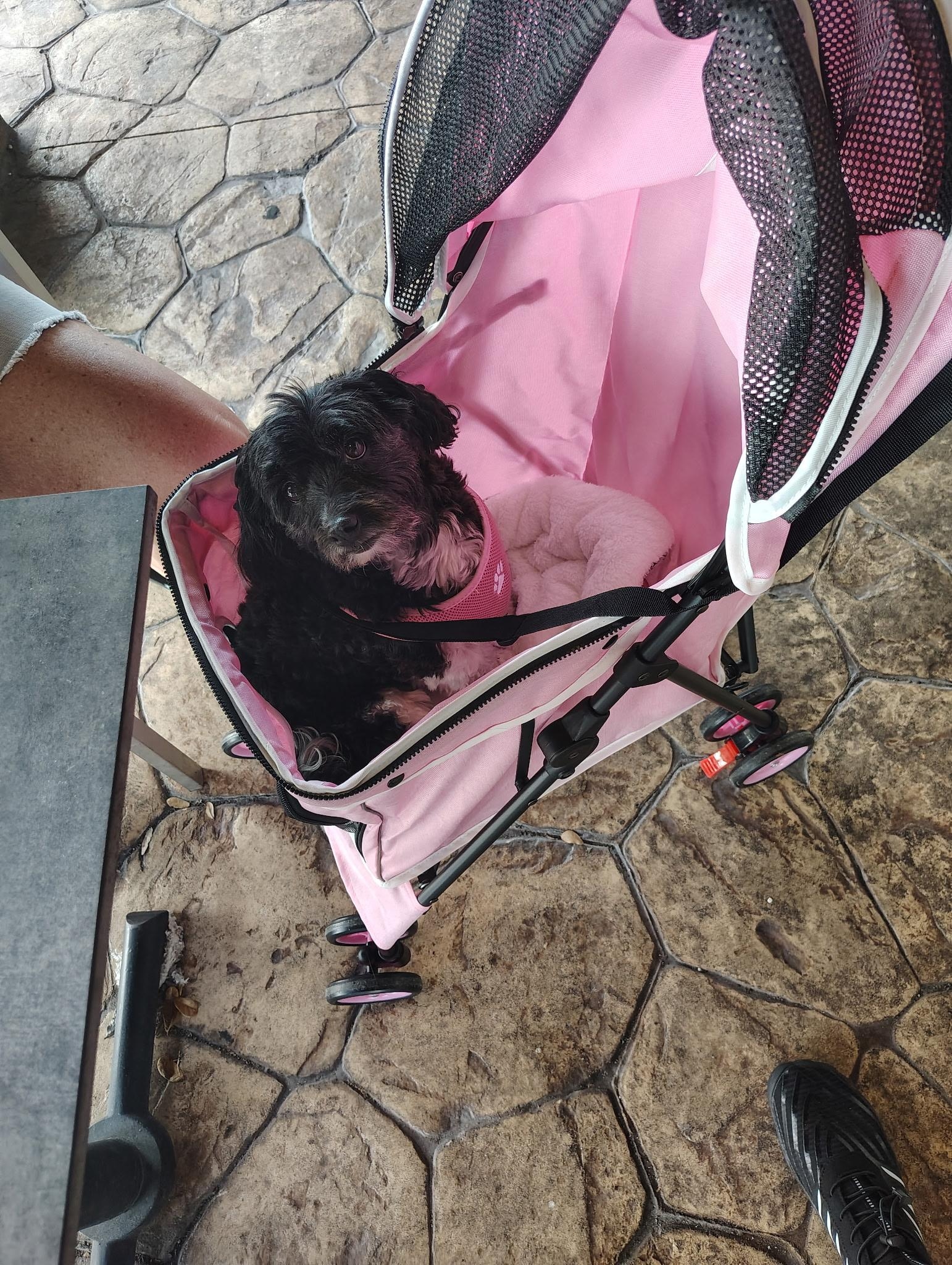 My girl loved going out to dinner.