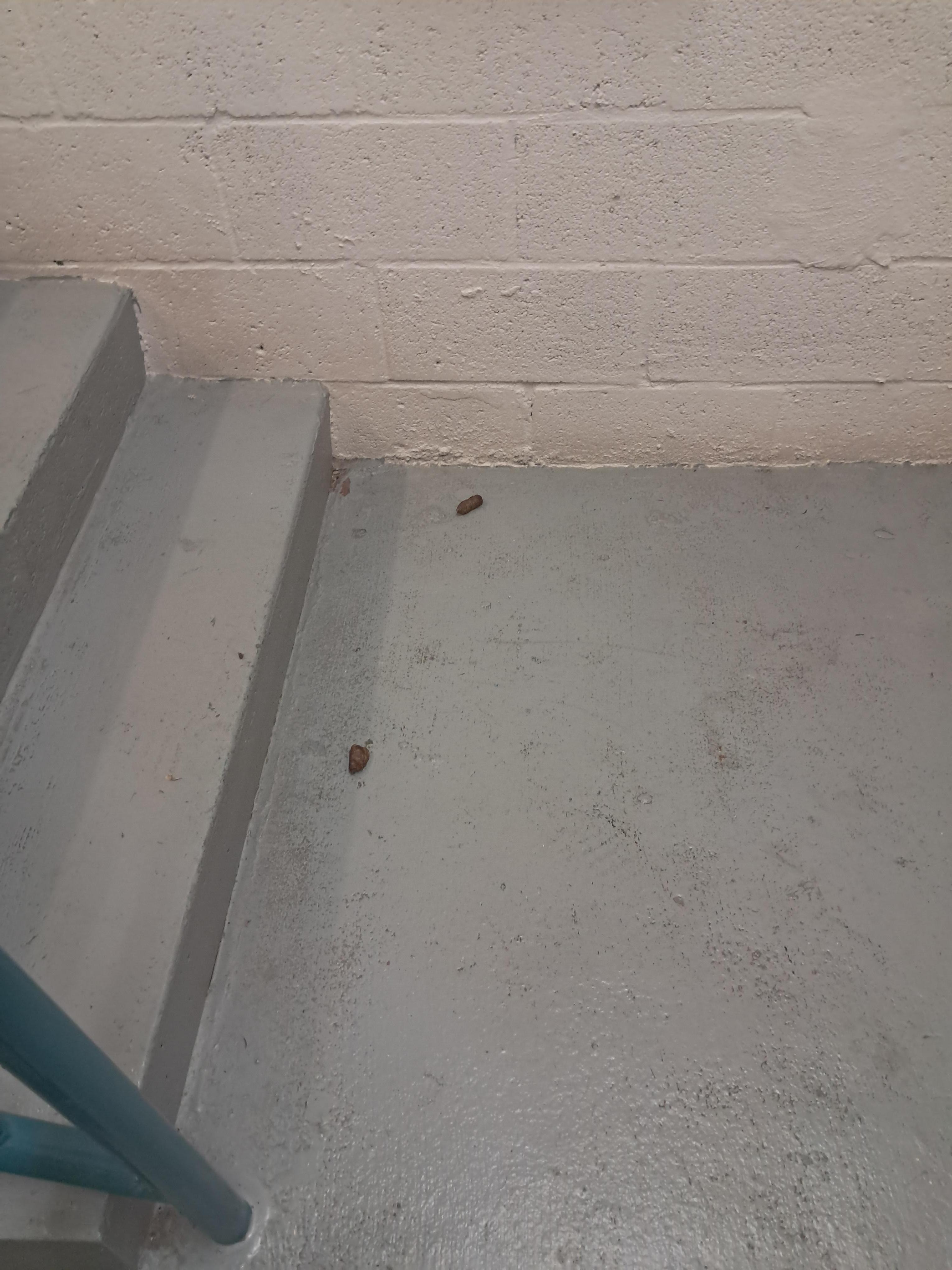 I dont know but it was there for a day