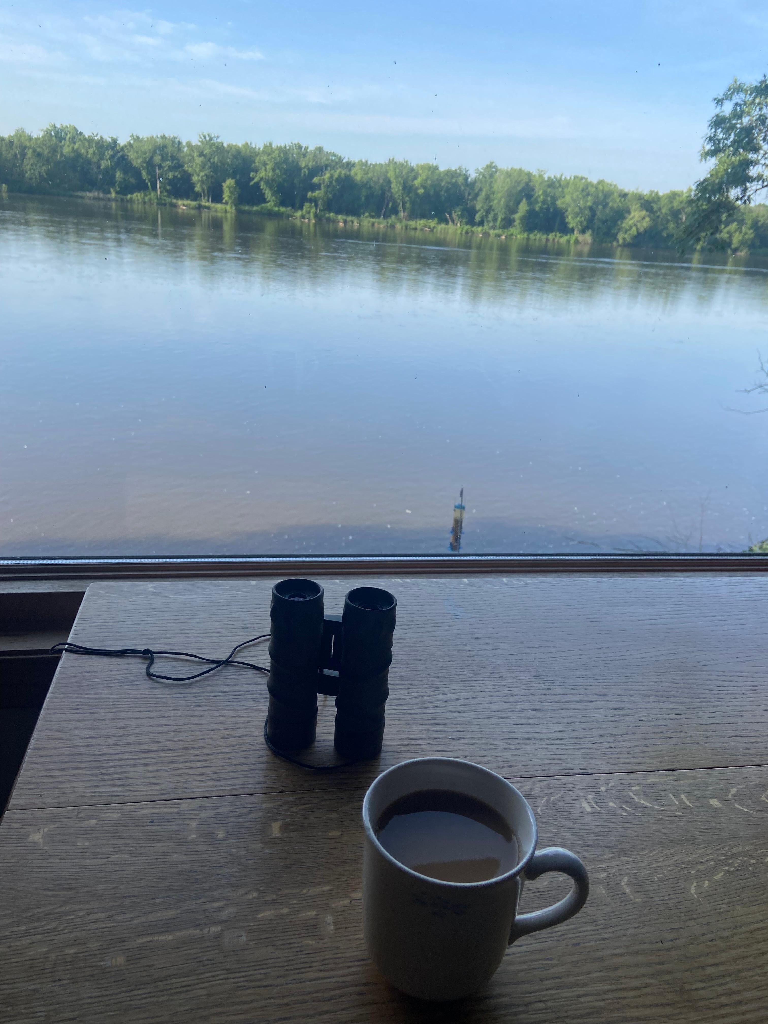 Watching the eagle across the river at breakfast 