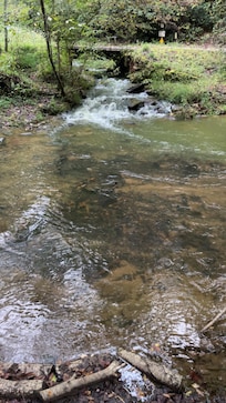 Creek!