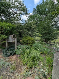 Garden behind the lodge.